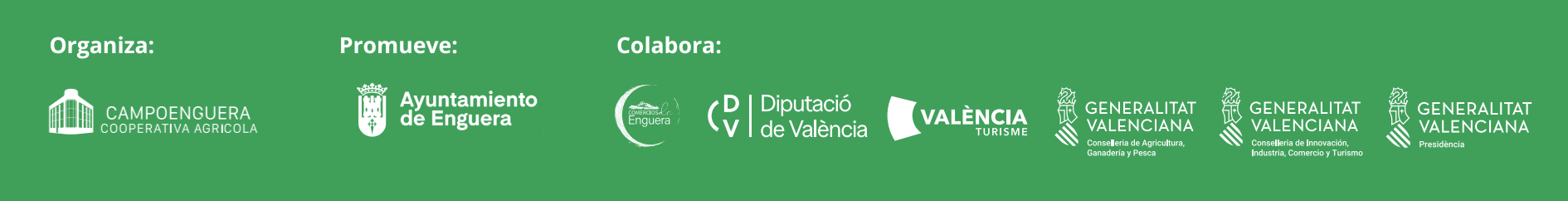 banner web del aceite