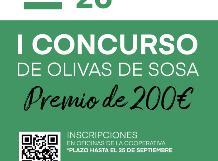 I Concurso de Olivas en Sosa de la Feria del Aceite de Enguera