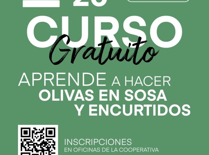 Aprende a hacer olivas en sosa y encurtidos